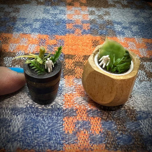 Personal Growth Plant 1:12 Scale