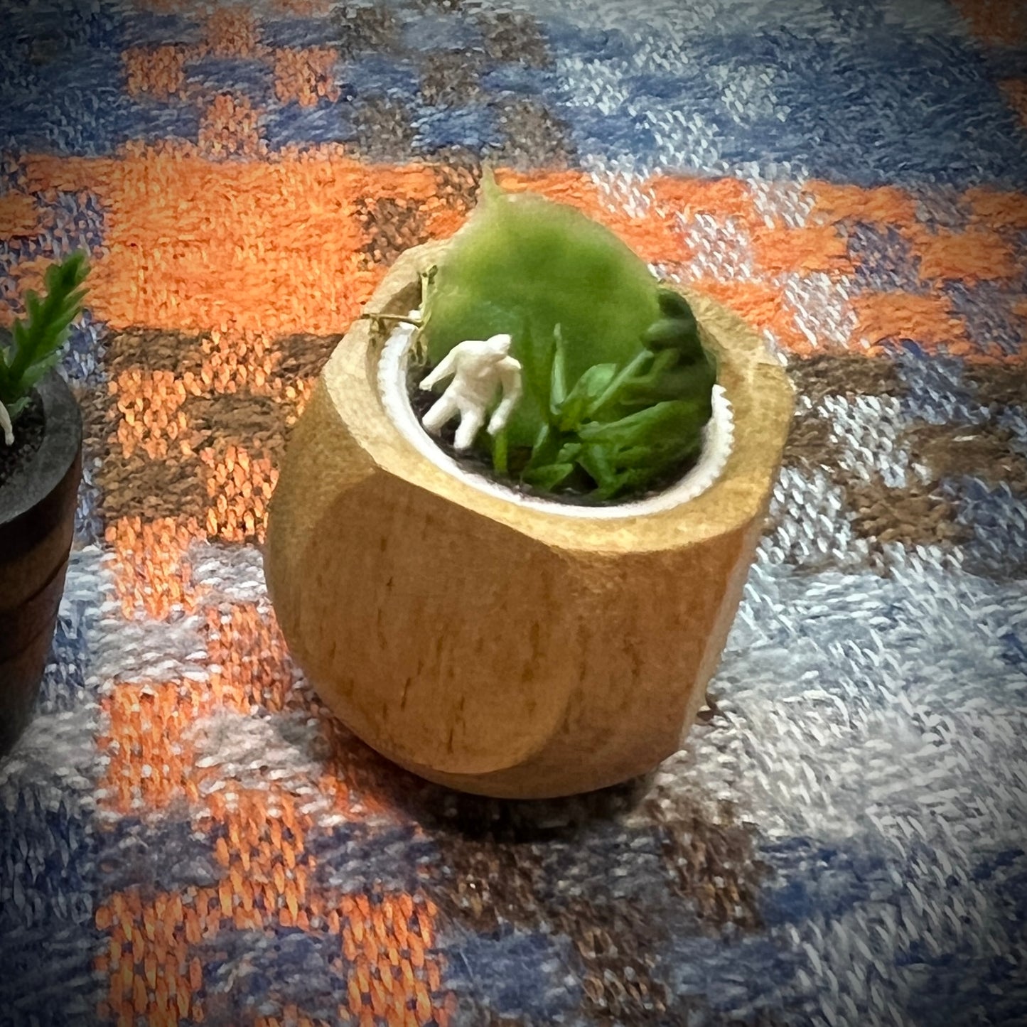 Personal Growth Plant 1:12 Scale