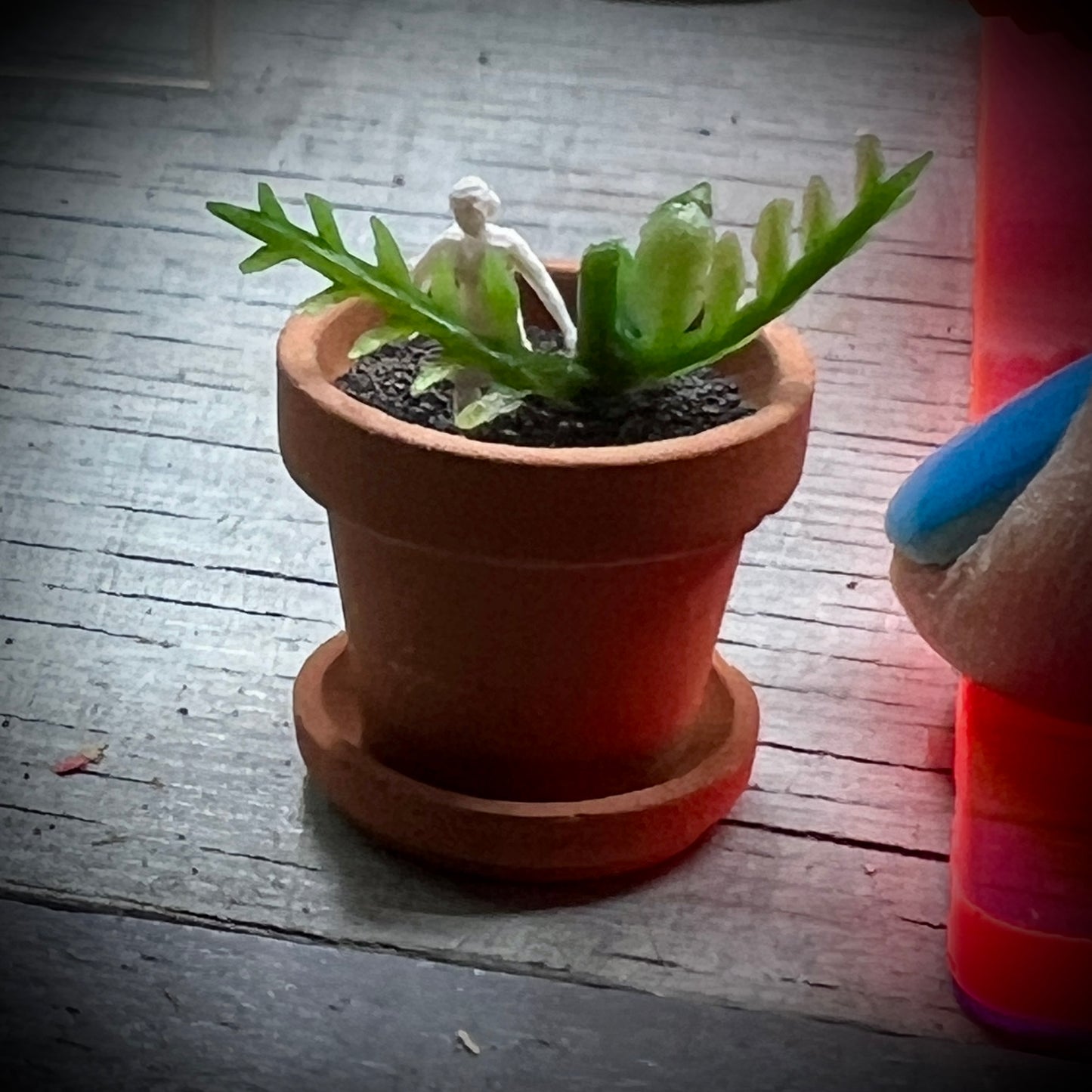 Personal Growth Plant 1:12 Scale