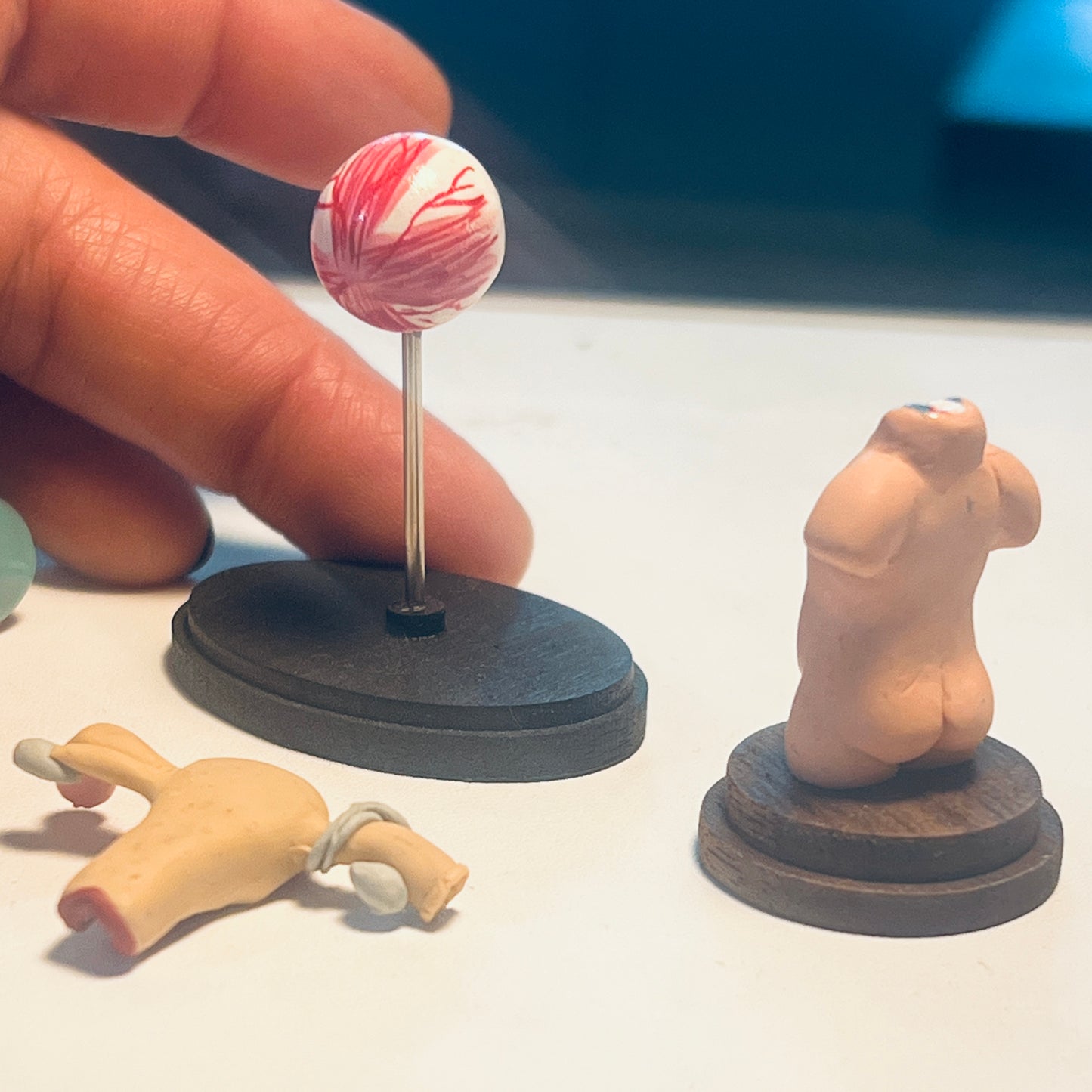 Anatomy Model 1:12 Scale